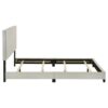 Dorian Fabric Upholstered Queen Panel Bed Cream