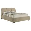 Mokena 46-inch Upholstered Queen Platform Bed Brown