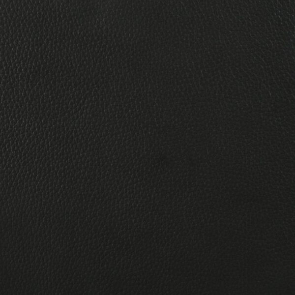 Medley Genuine Leather Queen Panel Platform Bed Black