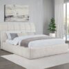 Nollet 48-inch Upholstered Queen Panel Platform Bed Cream