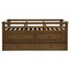 Carlsbad Wood Twin Captains Bed With Trundle Medium Brown