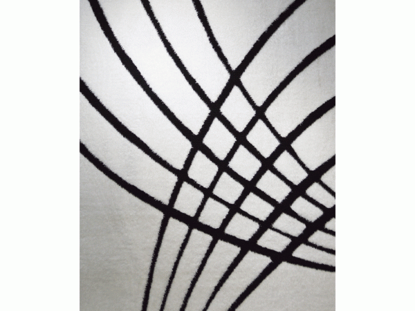 3D SHAGGY Rug White and Black